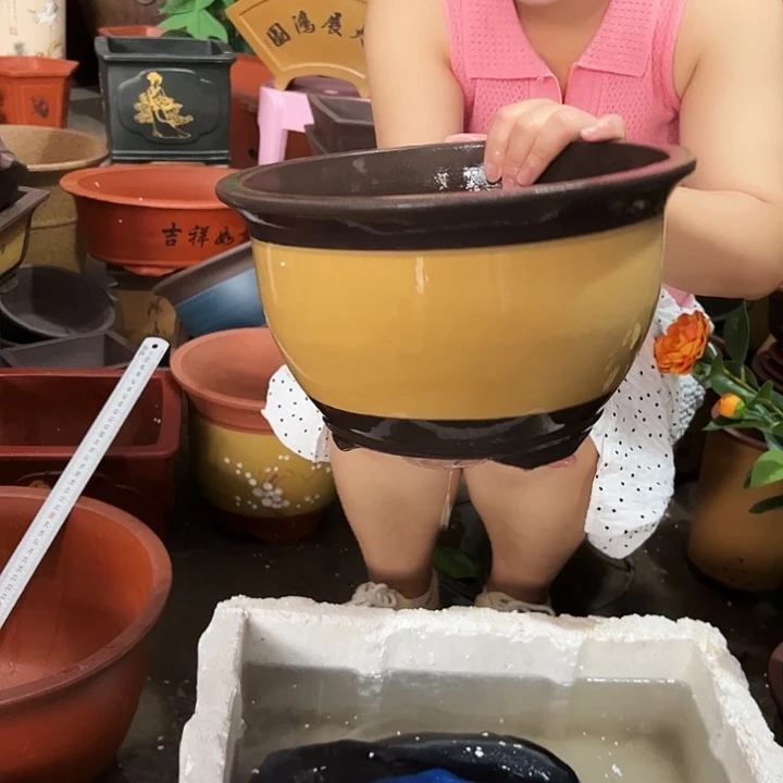 003花盆花盆花盆花盆花盆