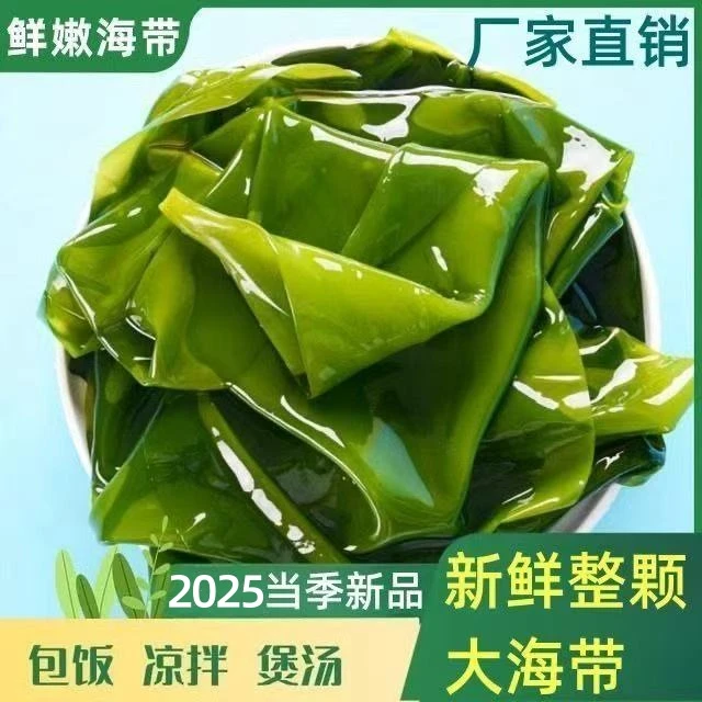 大连海带少盐 头茬鲜嫩盐渍整颗海带 饭包凉拌炖煮海带