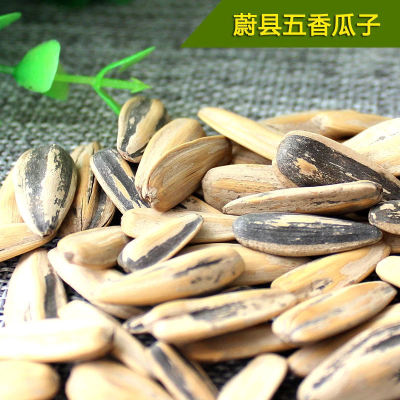 蔚县五香瓜子新货大葵花籽古法传统水煮炒货蔚县特产散装追剧零食