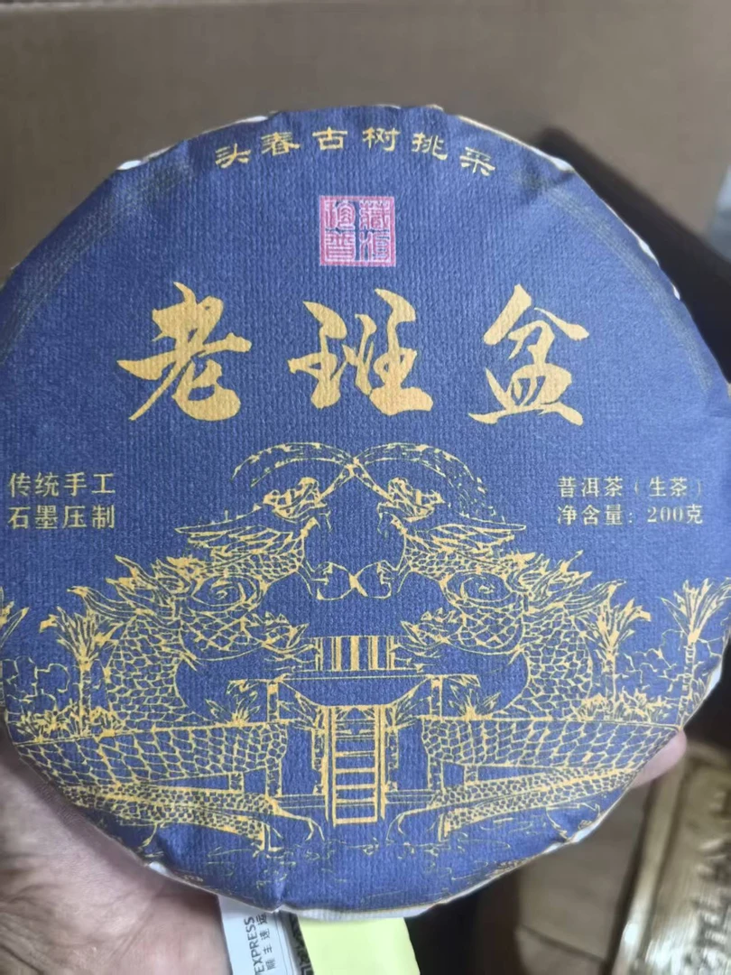 班盆老寨  25年  头春古树挑采