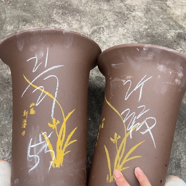 5号………………………………………………