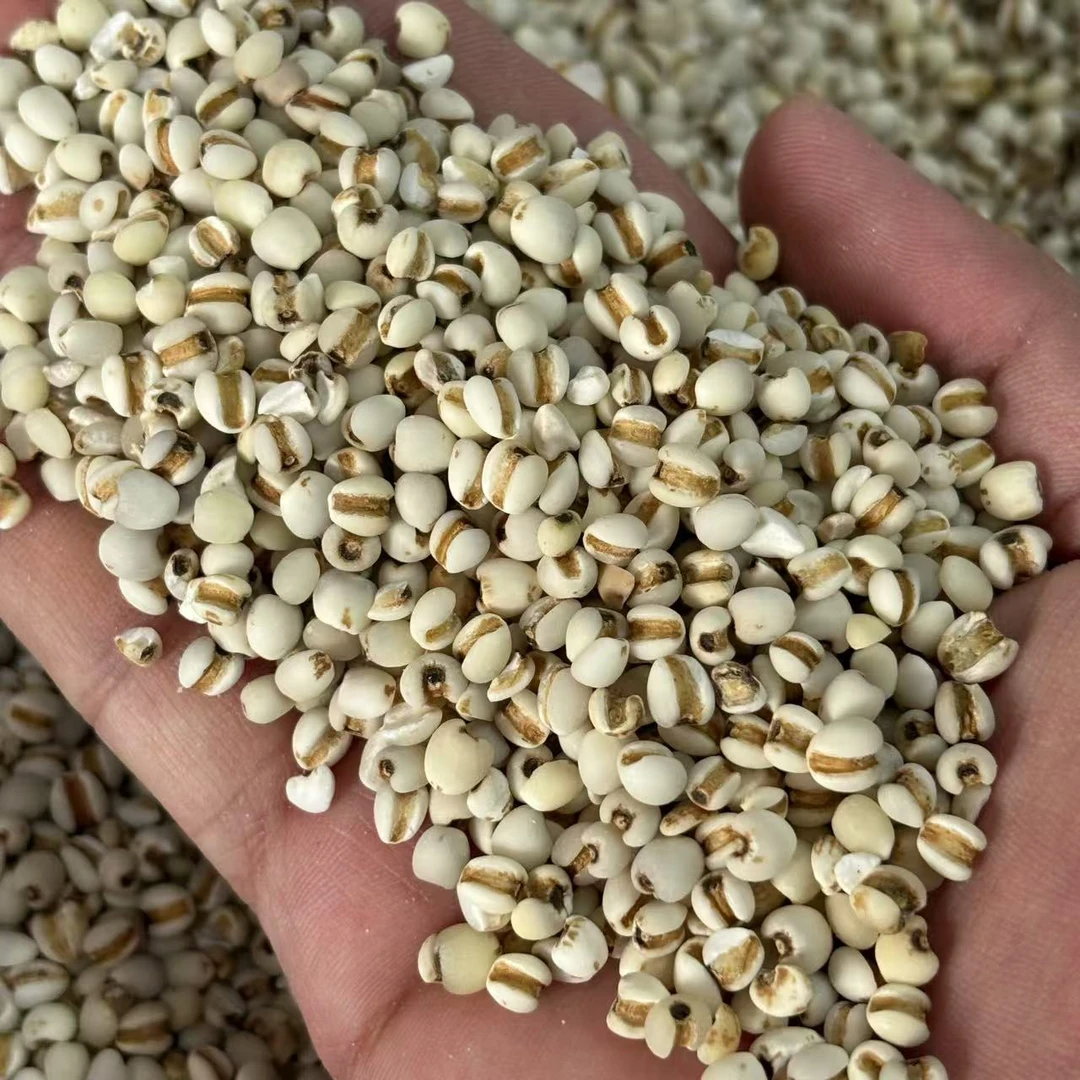 [欢姨陈皮甄选]春季滋润惹米500克袋装汤料广东煲汤