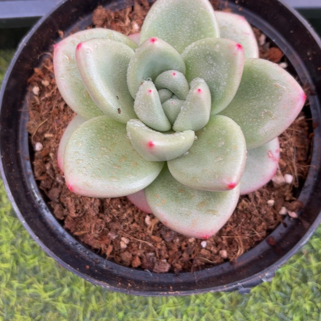 Hvjkbbjhhhijjhhguhvjhj