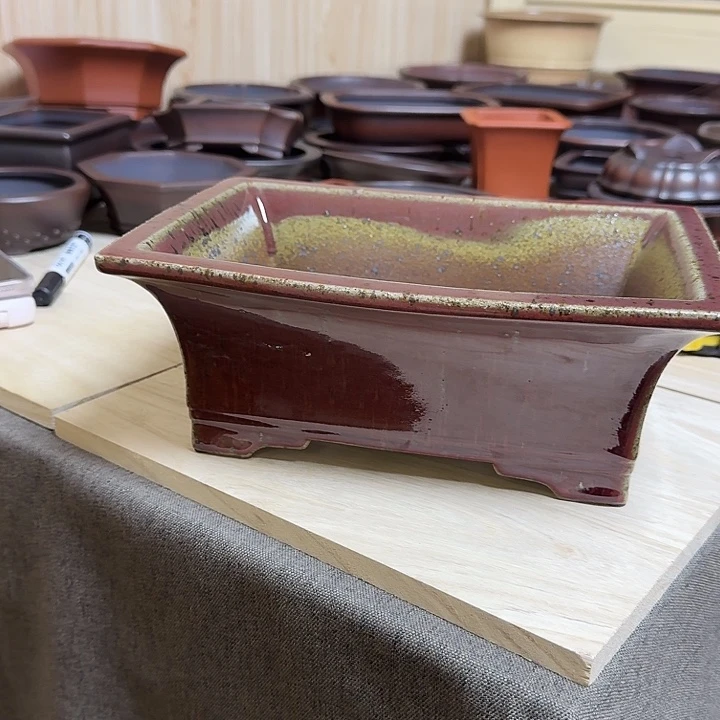 红陶赵紫砂花盆哈哈哈