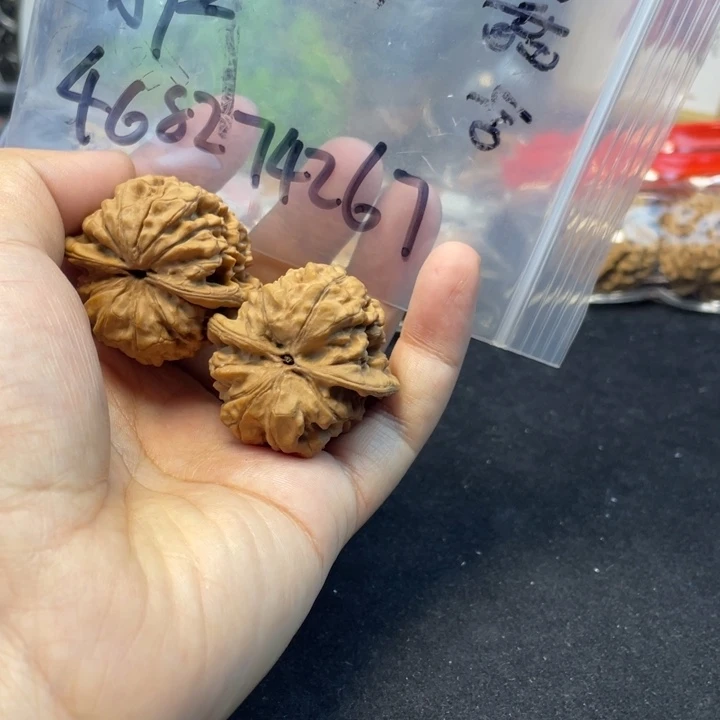 文玩核桃把件用****8官帽