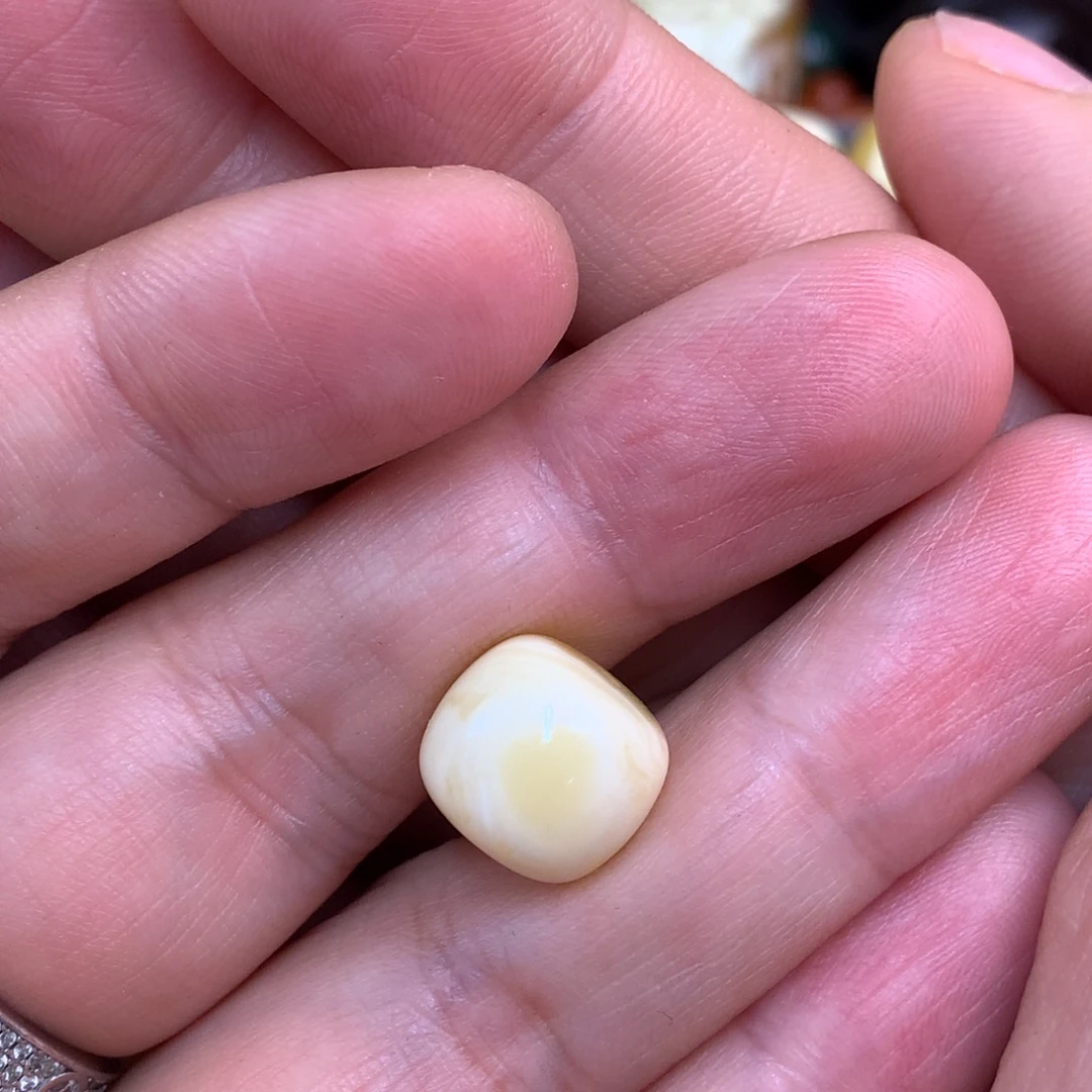 琥珀未镶嵌裸石蜜蜡12