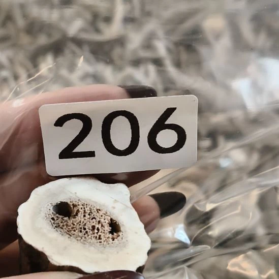 u***6鹿角鹿角鹿角鹿角鹿角鹿角