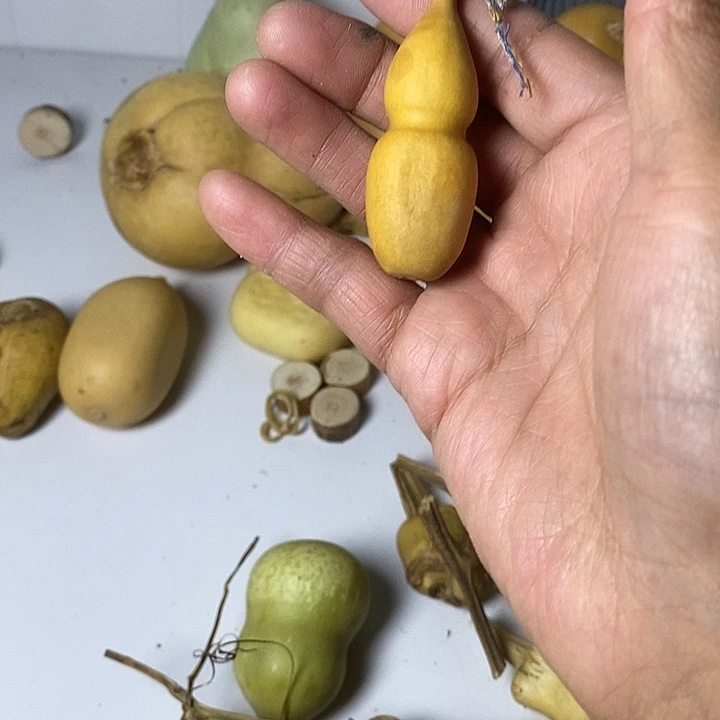 卜***异形葫芦手把件葫芦