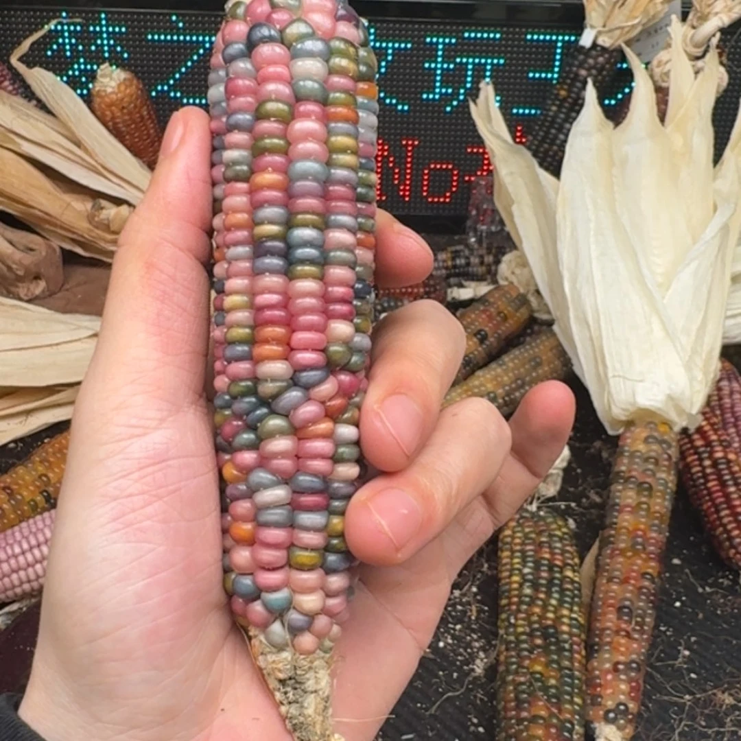 柏香籽/百香籽吊坠简****）