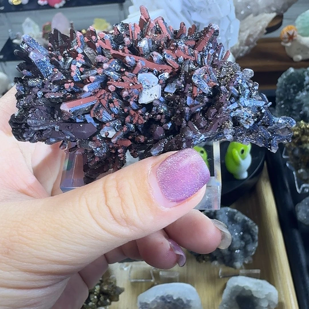 石材7️⃣9️⃣史上最低