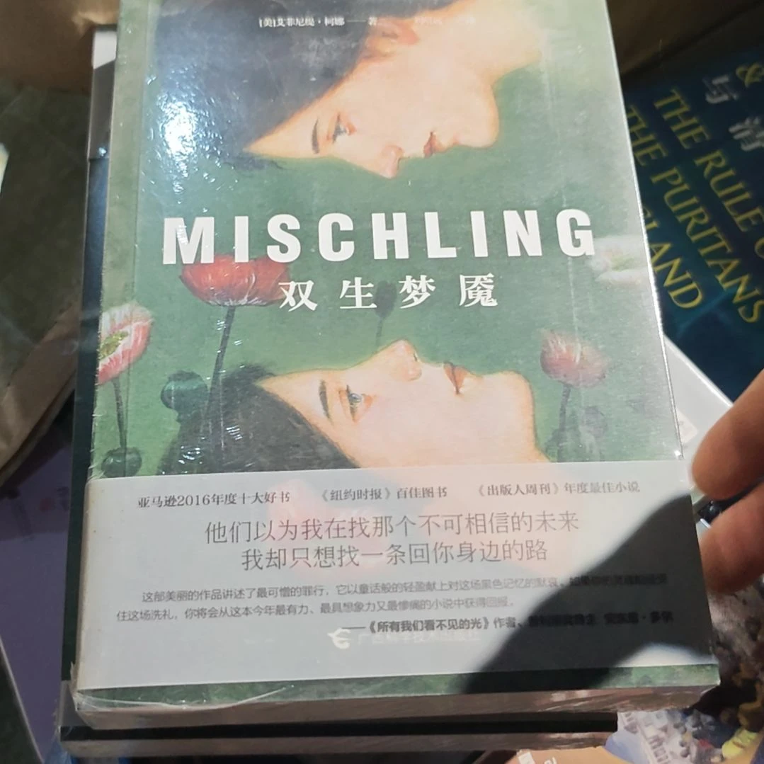 双生梦魇平装塑封库存书