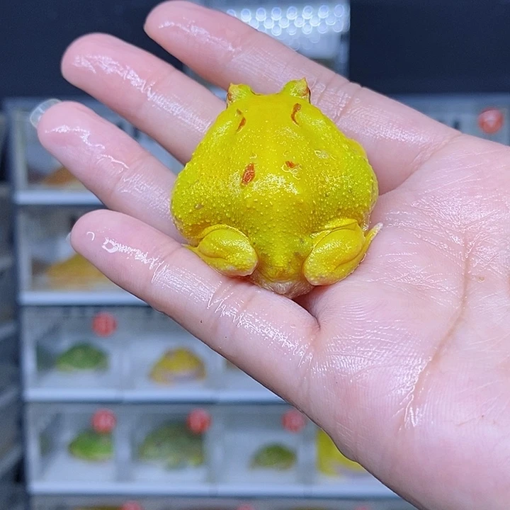 特价秒杀现货特价
