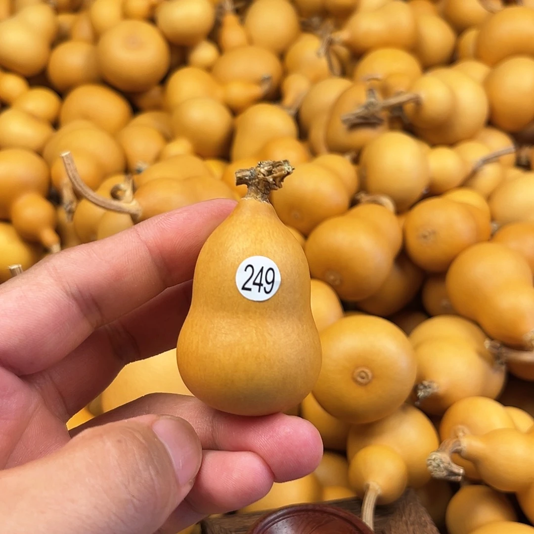 一葫芦葫芦葫芦葫芦249