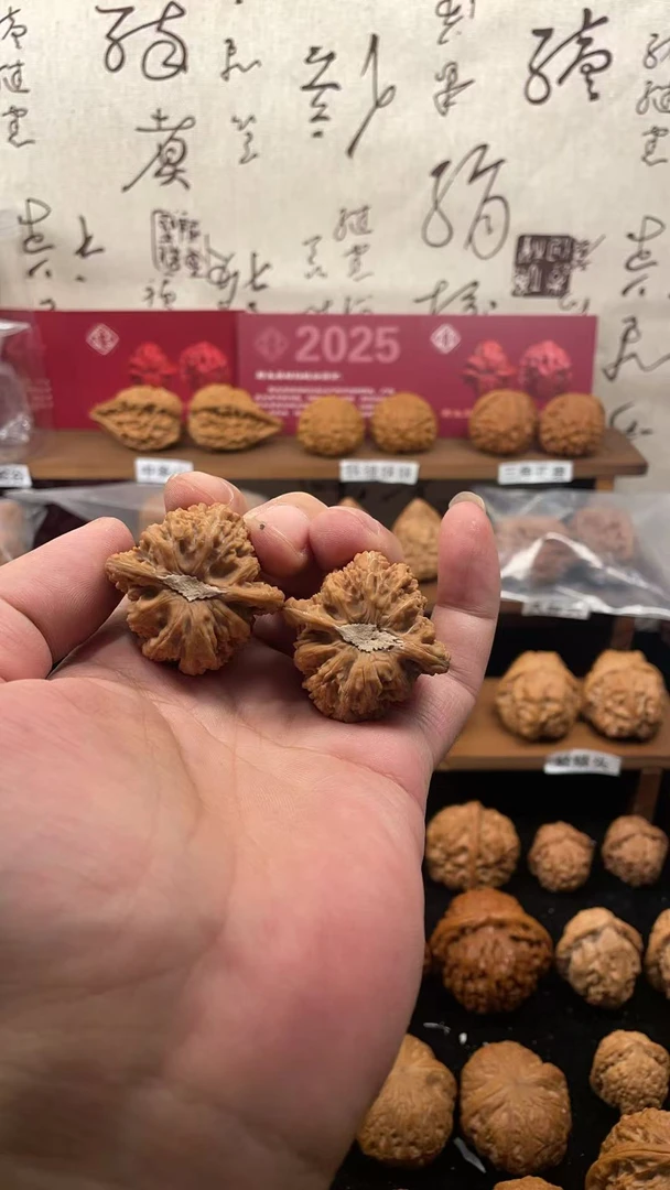 37+全品三角庄密纹木塞底