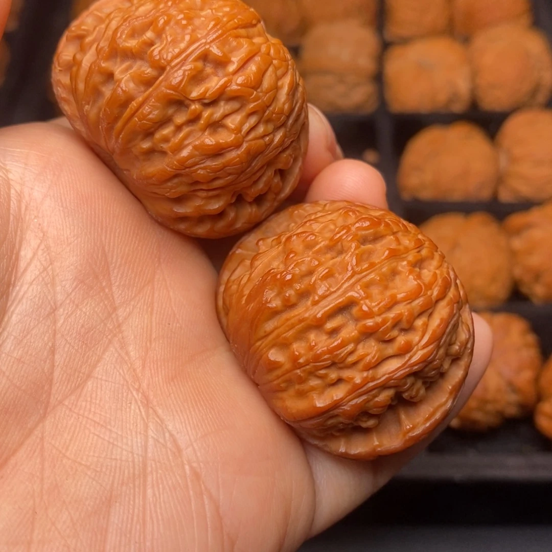 秦岭野生文玩核桃