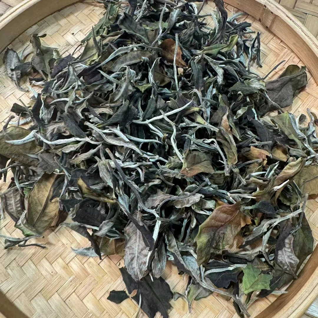 【小刚家的茶】7-4【LC294】2025年懂过白茶 白散（普洱白茶）