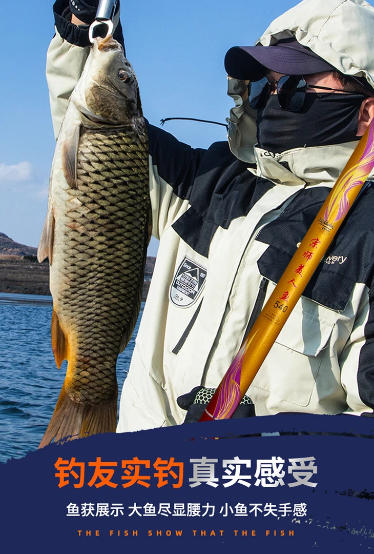 碳素钓鱼竿手竿超轻超硬鲫鲤台钓竿5H28调6H19调8H大物杆鲢鳙