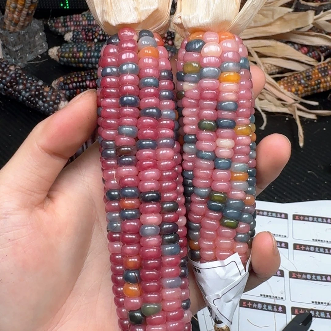 柏香籽/百香籽吊坠罗**~