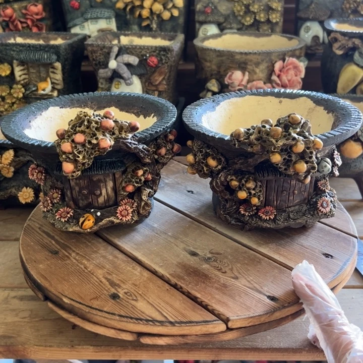 青藤多肉花盆百搭