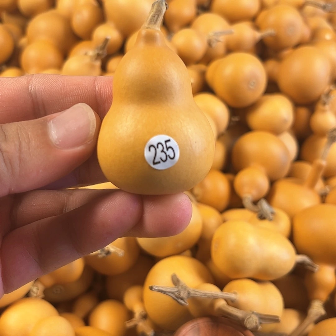 三葫芦葫芦葫芦葫芦235