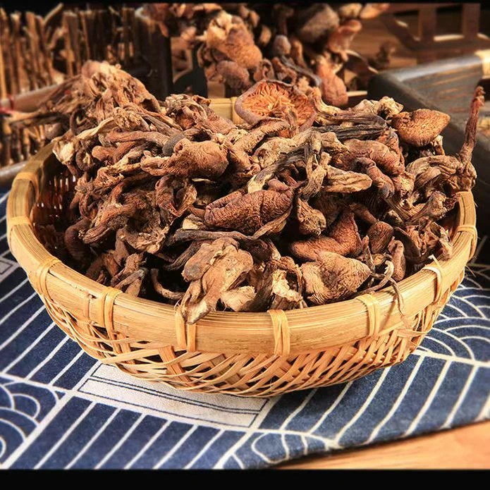 仙盘山长白山特产榛蘑东北小鸡炖蘑菇干货自然晾晒菌香浓郁