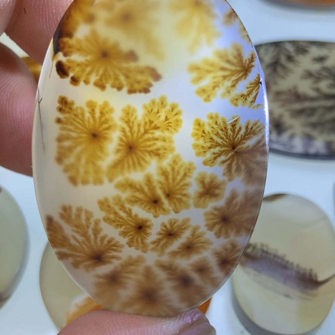 【闪购商品】未镶嵌颈饰玛瑙/玉髓￣*