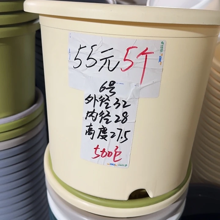 微瑕6#无托果绿7个