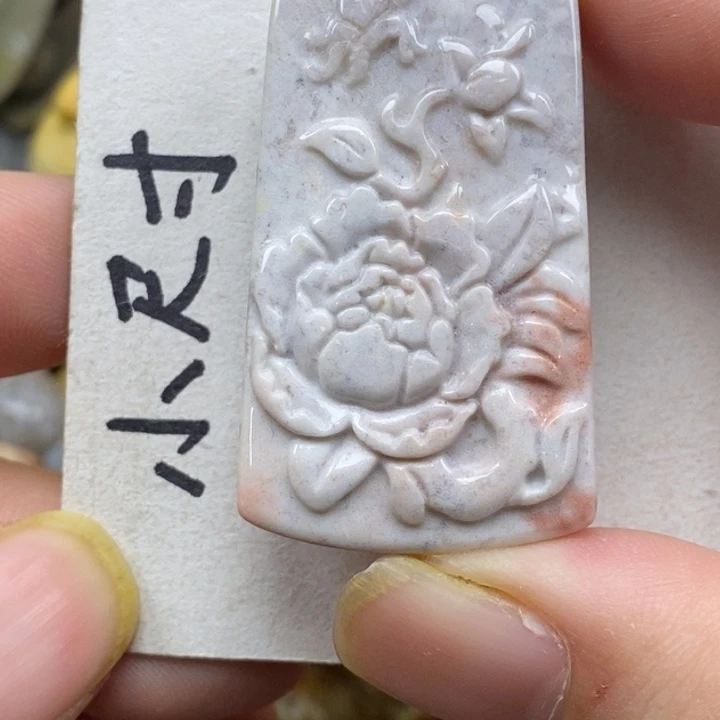 硅化珊瑚（珊瑚玉）未镶嵌颈饰