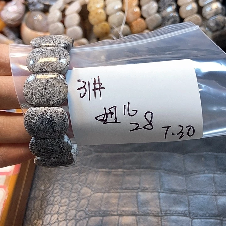 硅化珊瑚（珊瑚玉）11未镶嵌妞*31