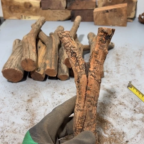 大果紫檀（缅甸花梨）張**！