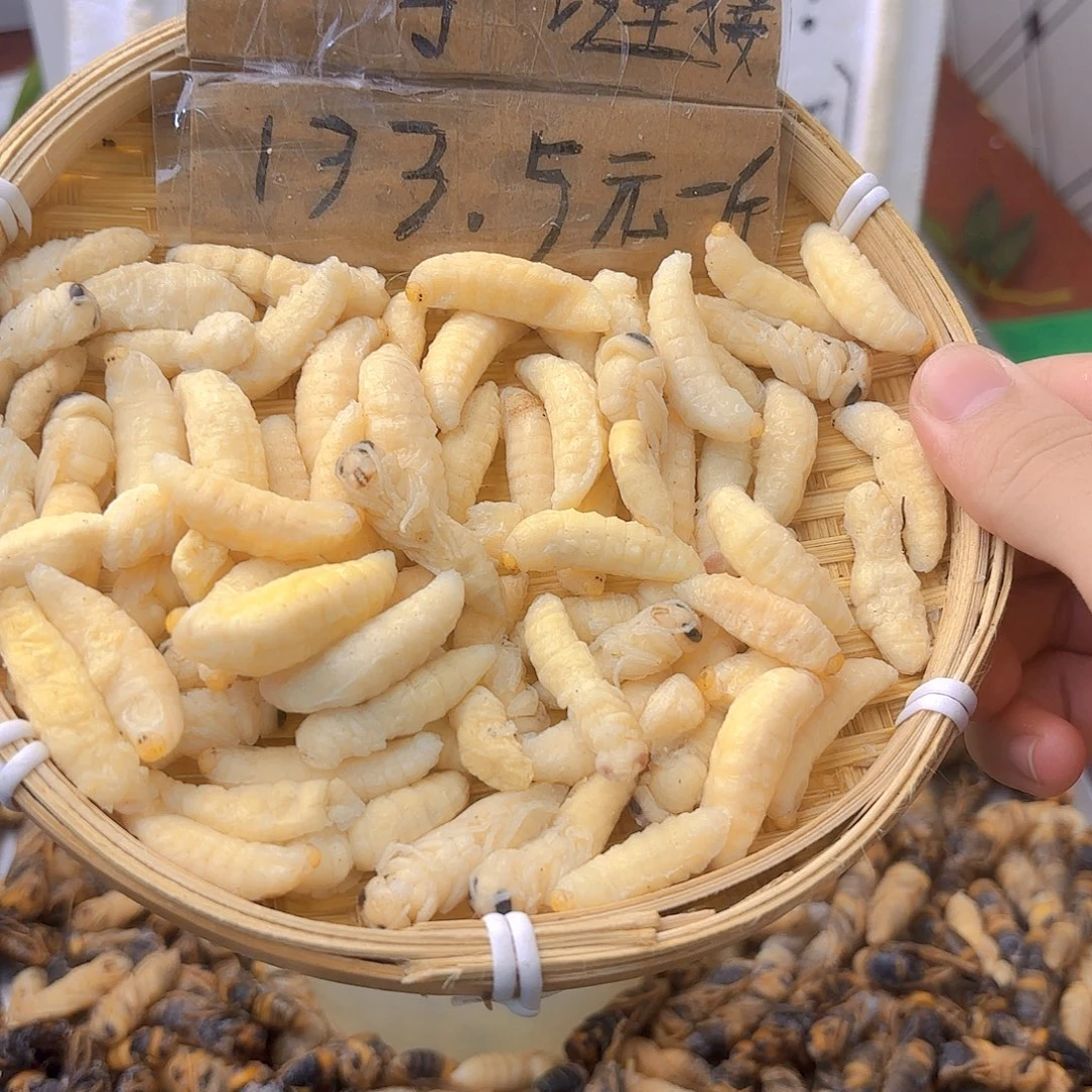 算***了30天中国大陆虎头蜂1-2级二斤