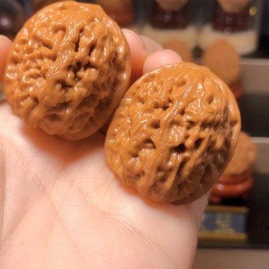 野生小众：平谷霸王