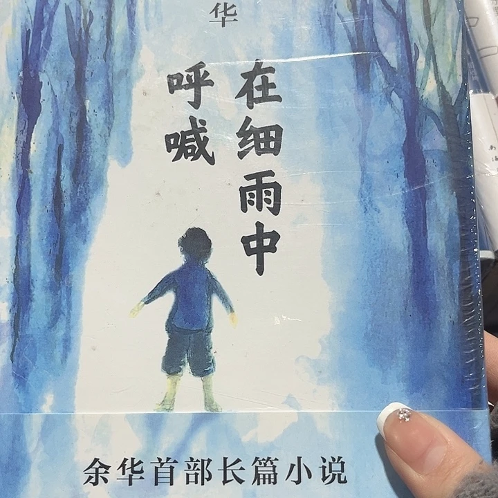 在细雨中呼喊全新精装