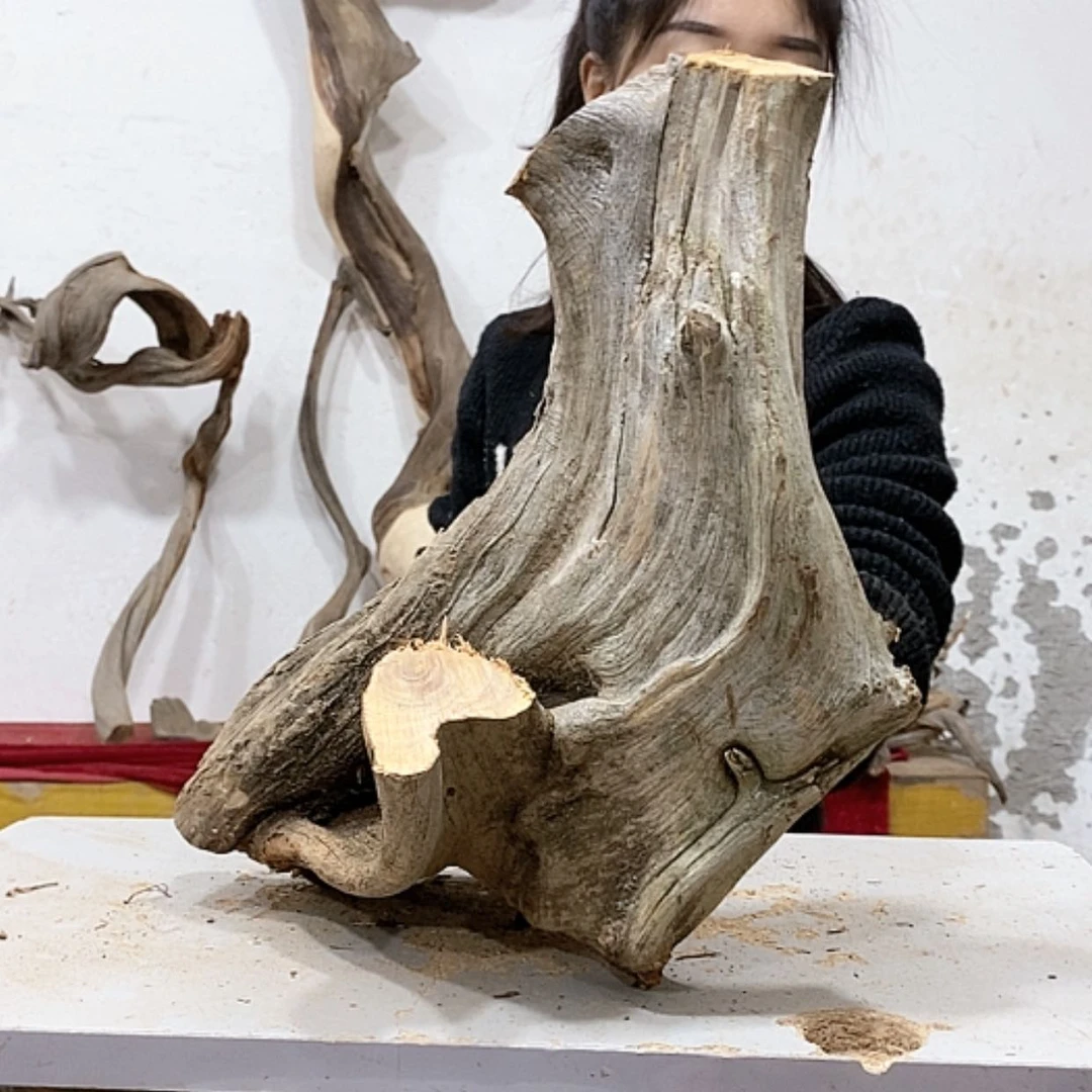 【闪购商品】柏木阿****装我们都是好孩子