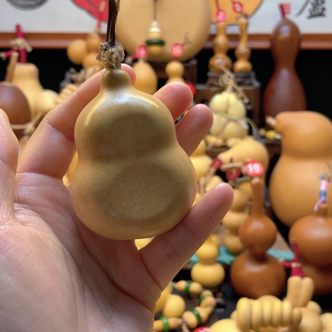 ?*大自然的秘密第十一节的