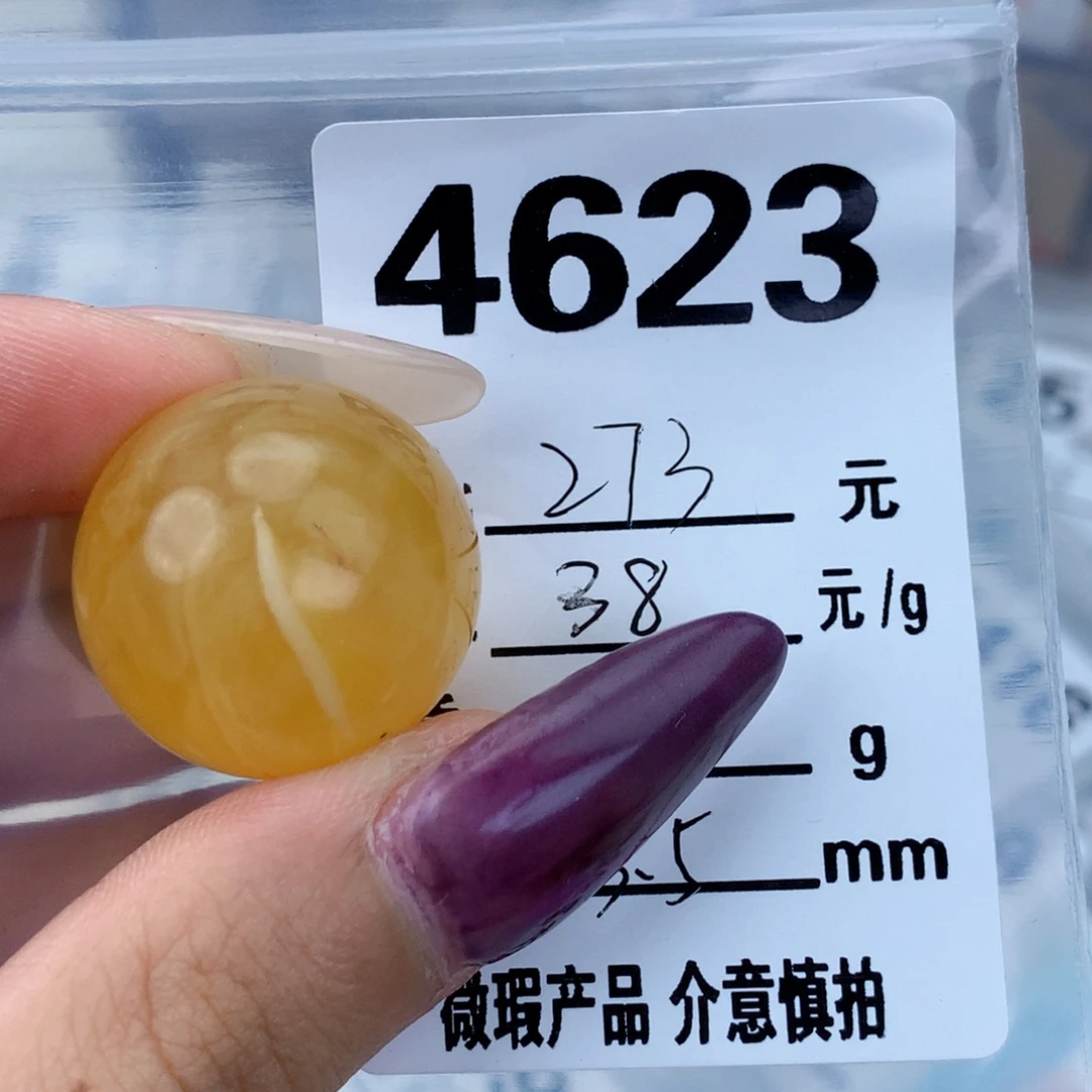 琥珀未镶嵌珠宝奇石23.5植物