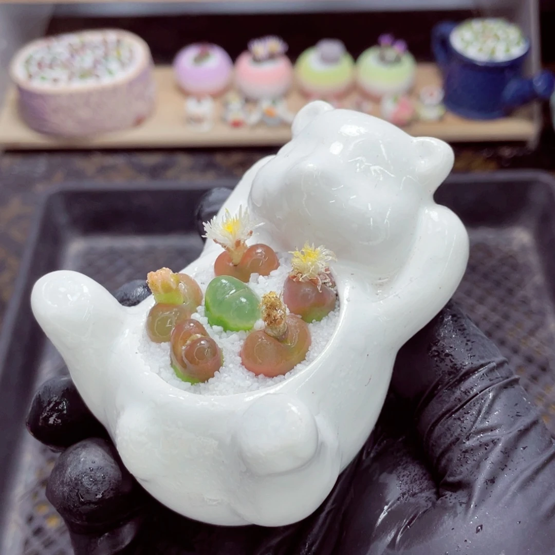 夜间零下地区拍保温箱w3053