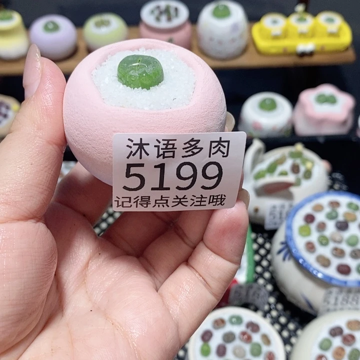 蚊***甲带盆土植物 一物一拍5199