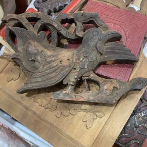 贝壳杉水*座非物质文化遗产保护