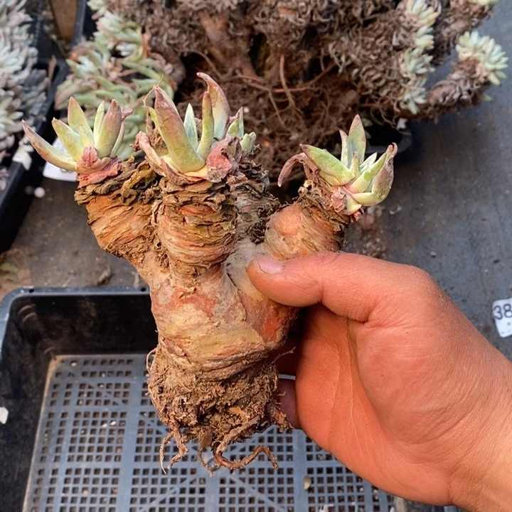 4073哈哈哈哈哈哈哈哈哈