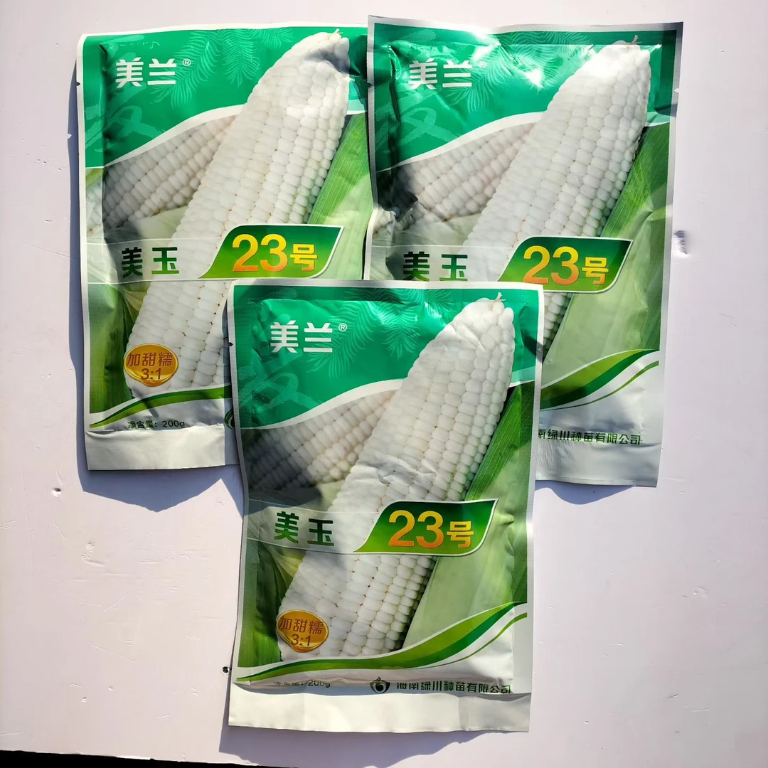 美玉23号白甜糯玉米种籽高产大棒甜加糯国审白粘糯玉米种子200克