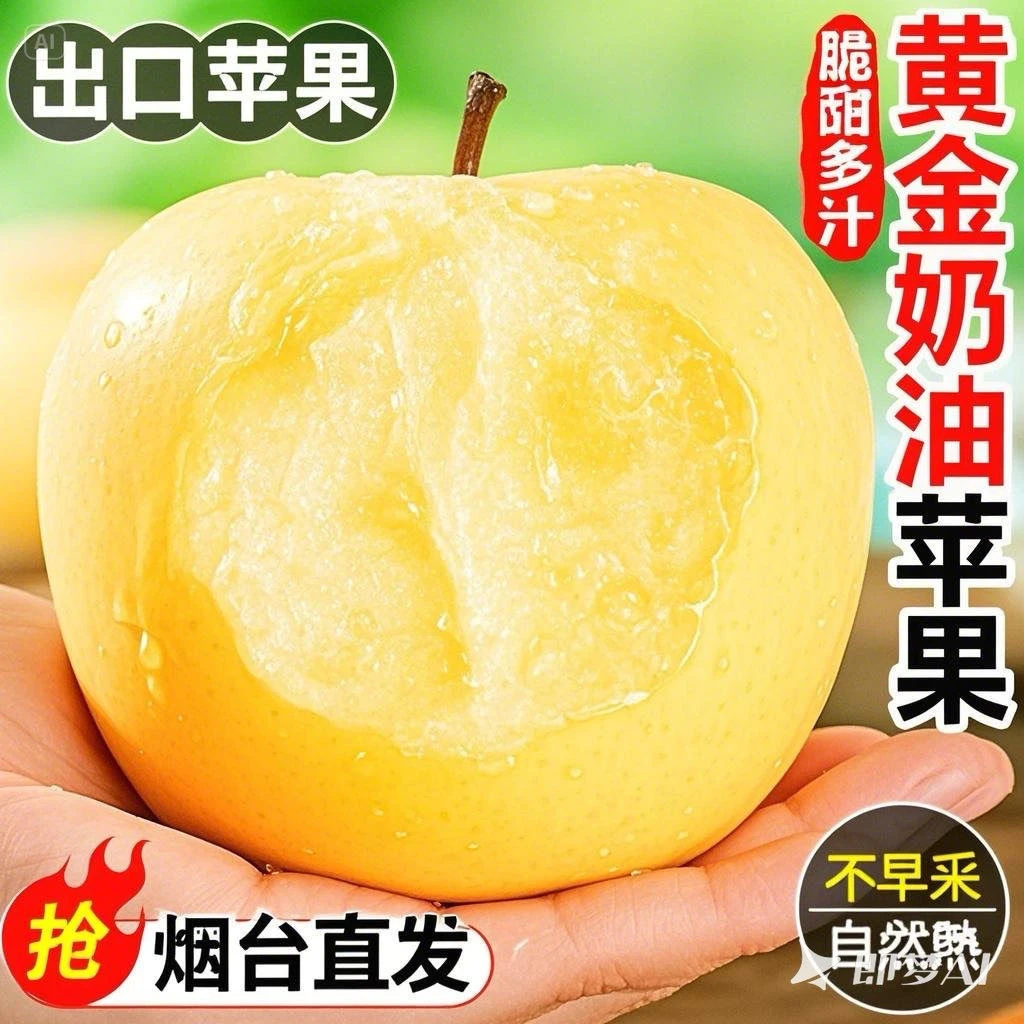 【山东烟台奶油苹果】当季新鲜现摘甜苹果脆甜多汁香甜可口整箱发货