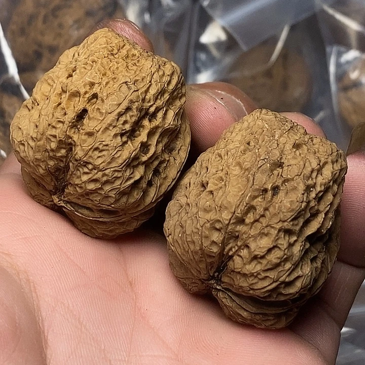 把件文玩核桃云南铁核桃B20