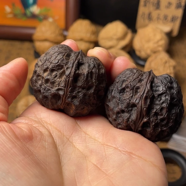 碎***嘴云南野生铁核桃编号60