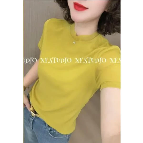 WANTHAT/凡黛卡半高领网纱短袖T恤小衫百搭洋气上衣YY-2671