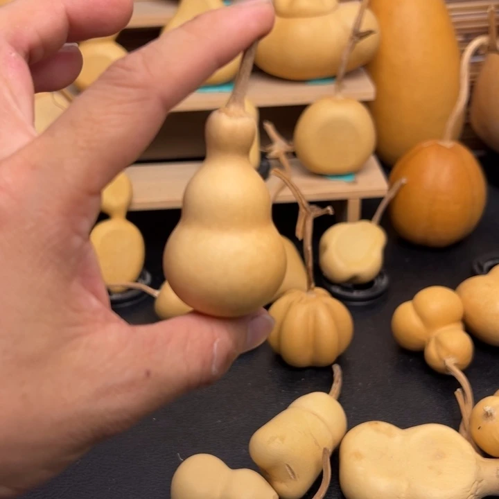 奶*妹566666555888596599