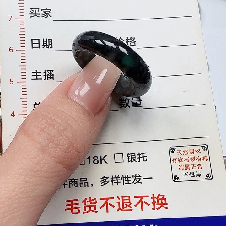 翡翠颈饰未镶嵌天然