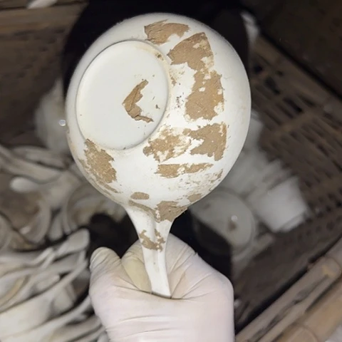 瓷片国营厂库存微瑕