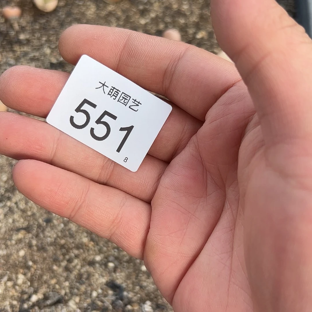 0000551 清框脱土发无售后