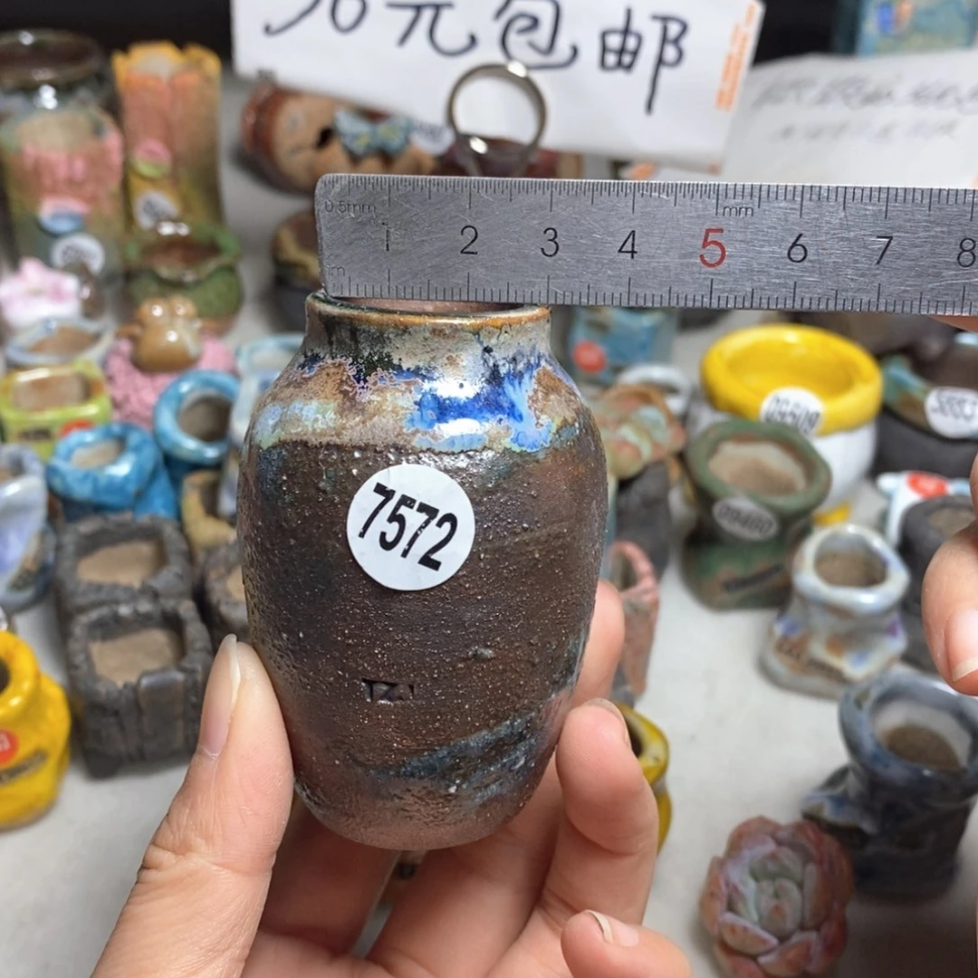 拍5送一个小礼物